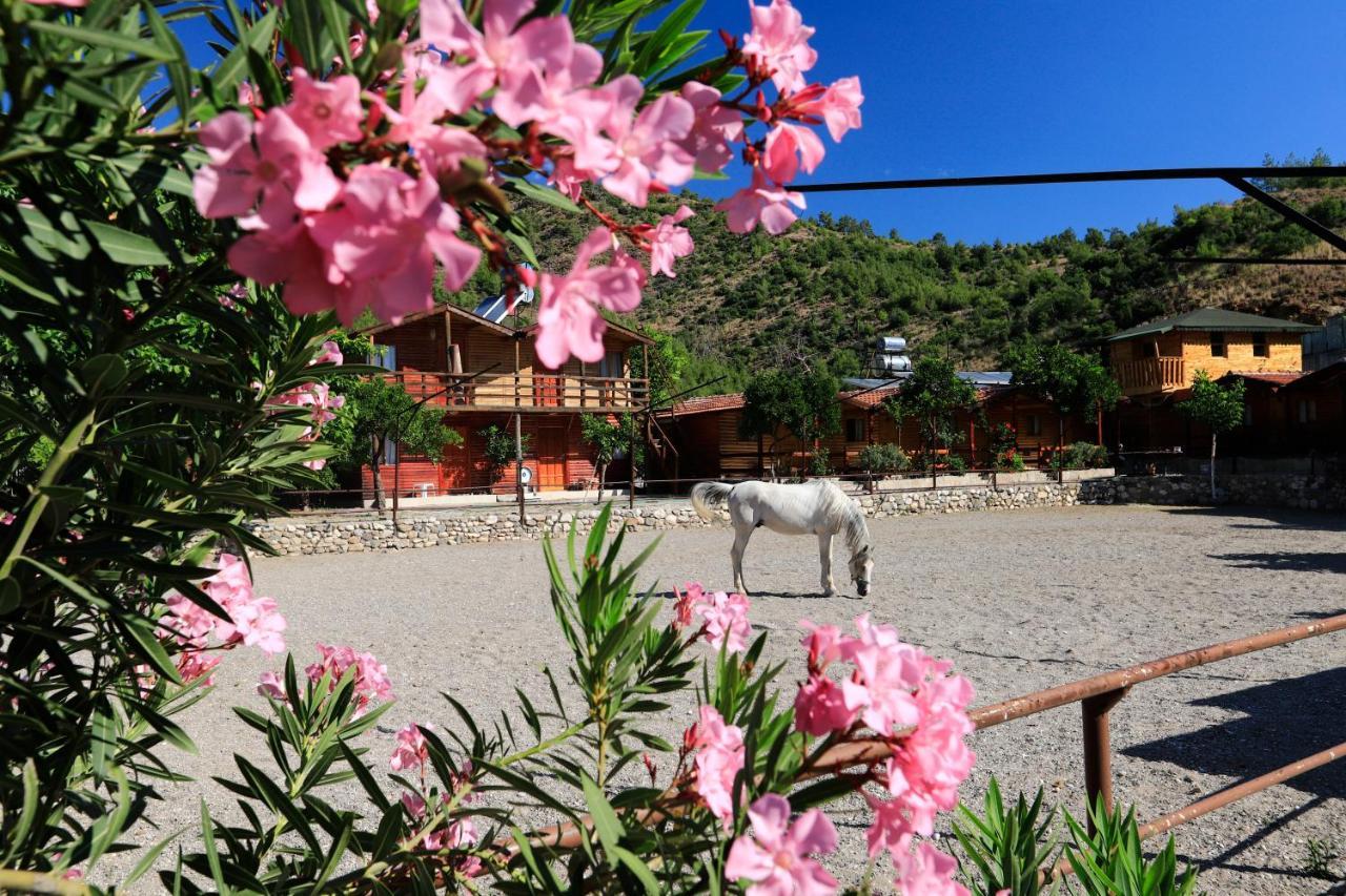 Oranj Ranch Hotel Kemer Zewnętrze zdjęcie