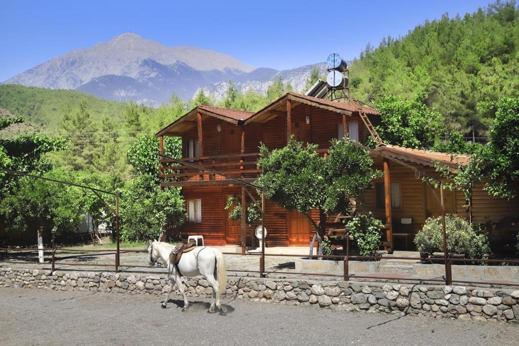 Oranj Ranch Hotel Kemer Zewnętrze zdjęcie
