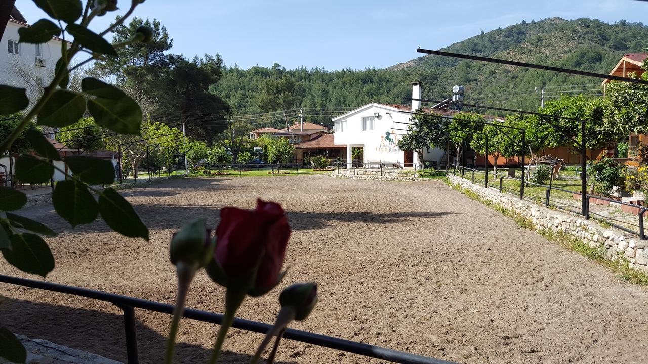 Oranj Ranch Hotel Kemer Zewnętrze zdjęcie