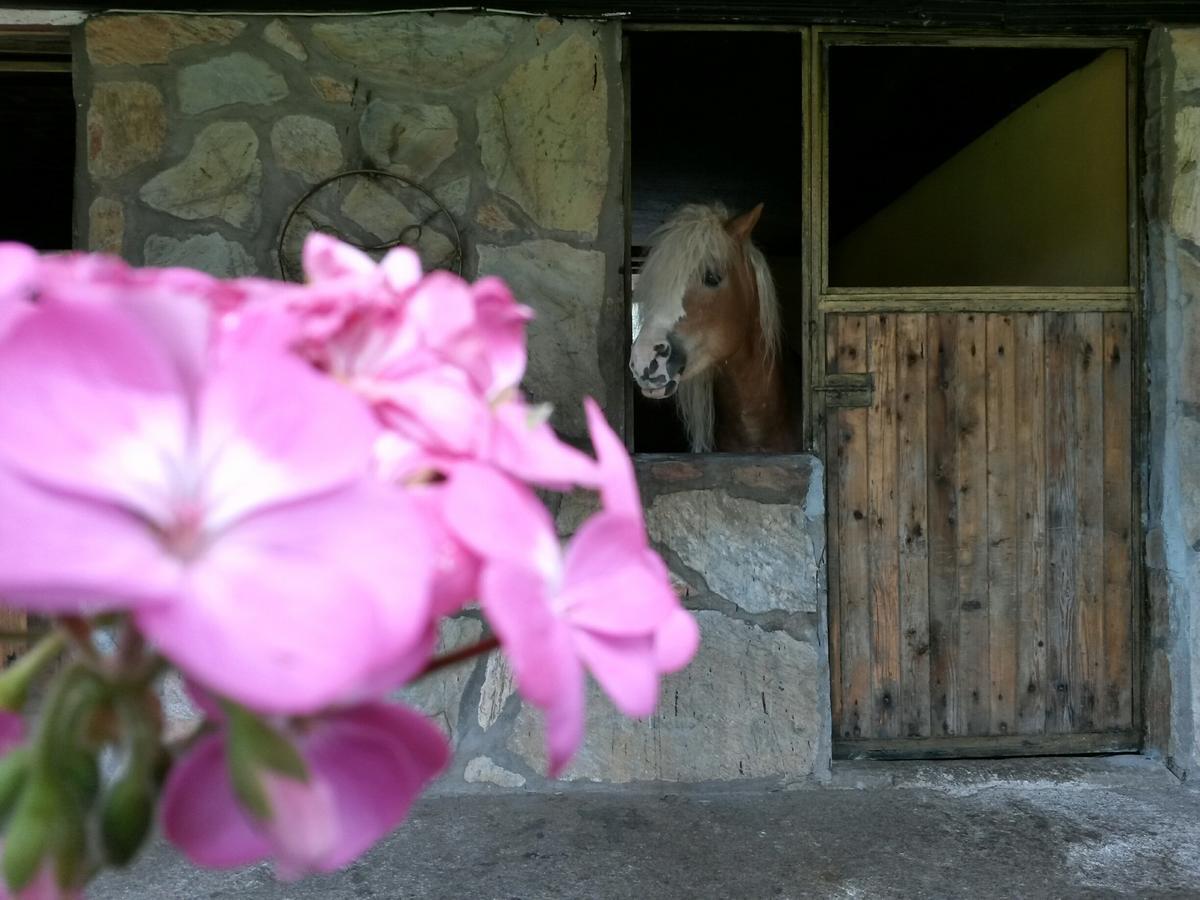 Oranj Ranch Hotel Kemer Zewnętrze zdjęcie