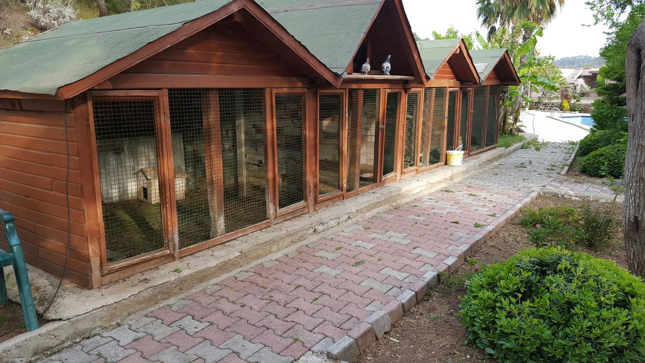 Oranj Ranch Hotel Kemer Zewnętrze zdjęcie