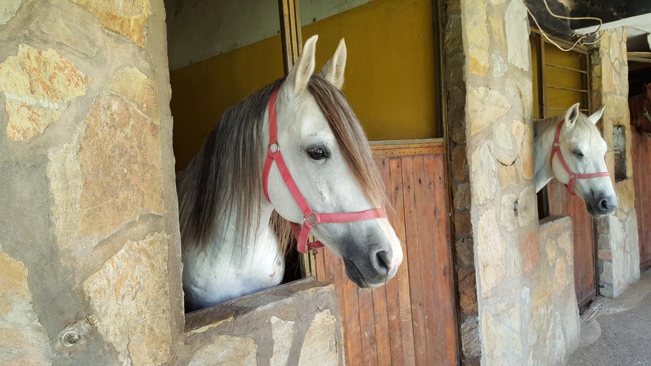 Oranj Ranch Hotel Kemer Zewnętrze zdjęcie