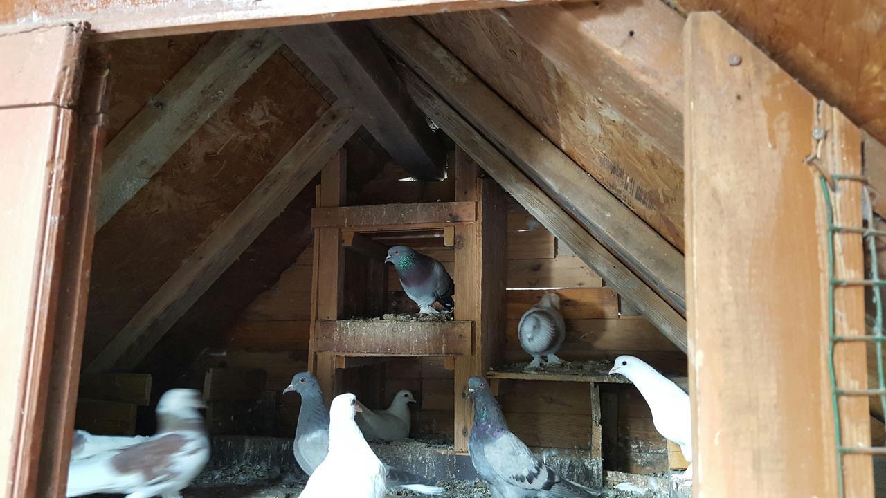 Oranj Ranch Hotel Kemer Zewnętrze zdjęcie