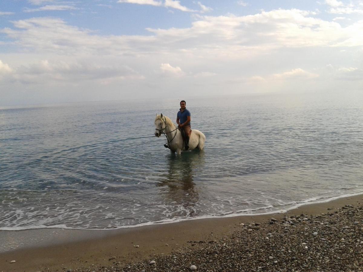 Oranj Ranch Hotel Kemer Zewnętrze zdjęcie