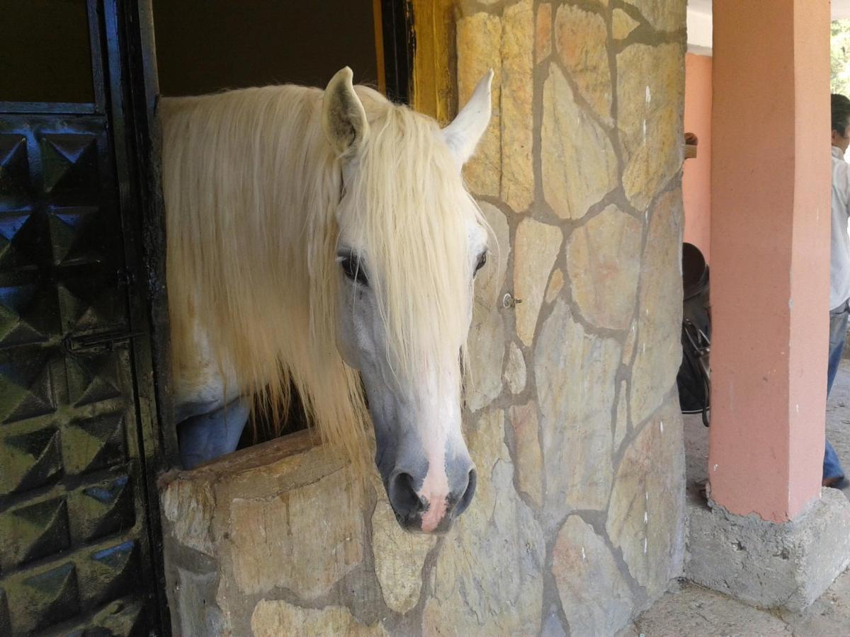 Oranj Ranch Hotel Kemer Zewnętrze zdjęcie